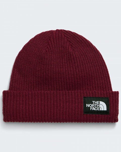SALTY LINED BEANIE - NF0A8CGZ