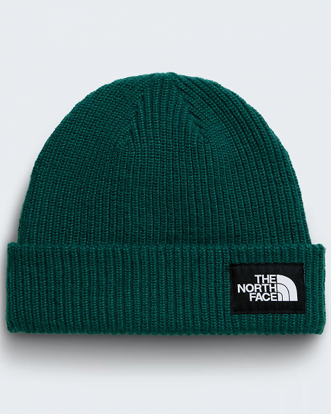 SALTY LINED BEANIE - NF0A8CGZ